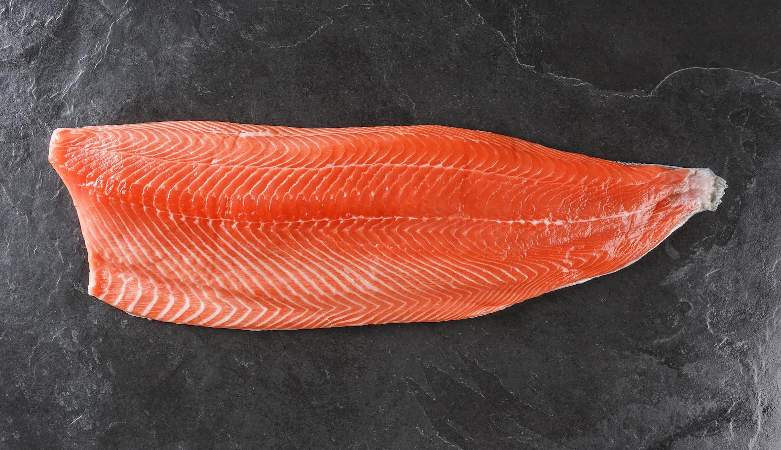 Frozen Atlantic Salmon – Fillet